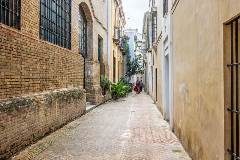 Foto 5f0ab59d-b2bf-4a04-ad5c-9957b386f026. Casa a San Bartolomé Sevilla