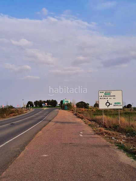 Foto 0a1423ff-ed0f-4124-a667-5e52920c2f9e. Bâtiment à usage industriel dans Rinconada (La)