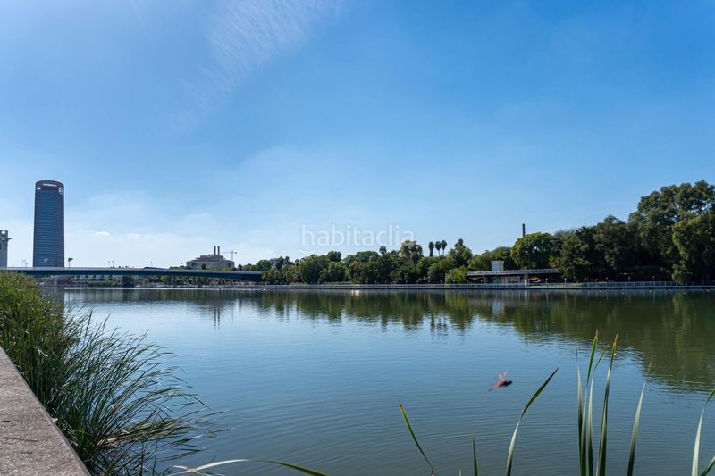 Foto 1fe564e8-eda8-42b4-8bc2-4a0ada8c34b8. Pis a San Vicente Sevilla