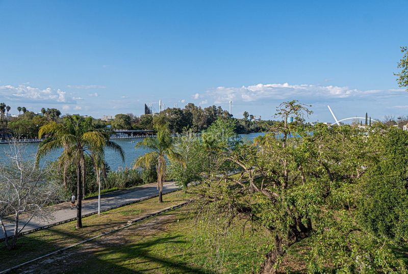 Foto 4c068c2e-38fb-48ae-8e69-adf5e6c9aef6. Pis a San Vicente Sevilla