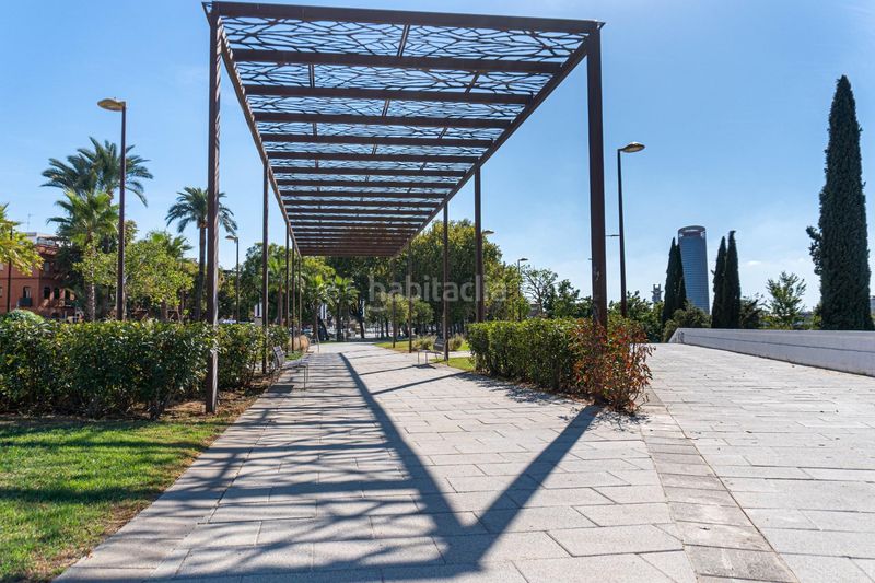 Foto 9bbe8faf-44a3-45a9-9931-f5b4513f9ce5. Pis a San Vicente Sevilla