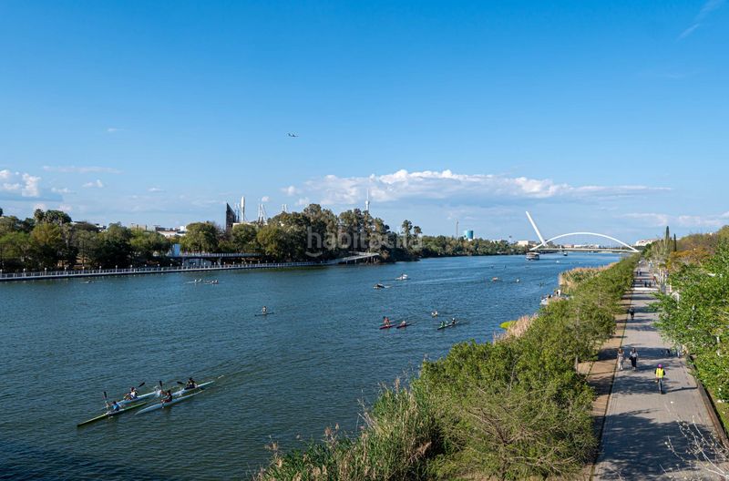 Foto f78c98b0-083c-44b1-8522-2bc529344396. Pis a San Vicente Sevilla