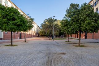 Pis a Calle Petrarca