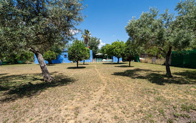 Foto d1df2e8c-e70e-49e9-a658-57f0cff31e7a. Casa amb calefacció aparcament piscina a Marchena