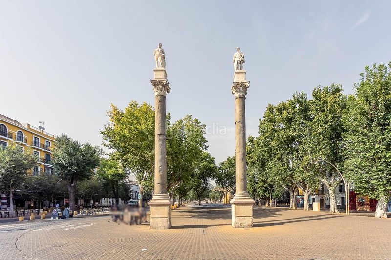 Foto d0f5e2b3-a897-4b13-a672-b765fa031ffa. Planta baixa amb calefacció aparcament a Encarnación - Regina Sevilla