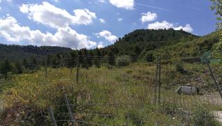 Residential Plot in Carrer major 316. Semiplano - soleado