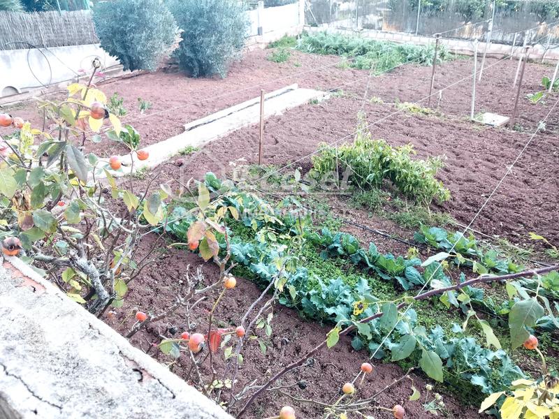 Foto 571c4619-d1a6-4db4-b392-e2442bb9c71c. Xalet a carrer major 316 a Vallirana