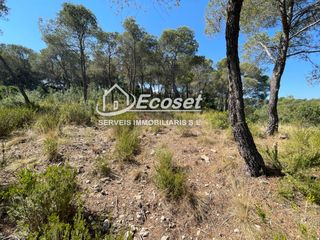 Terreny residencial a Carrer Pallars Cp 2 F. 8