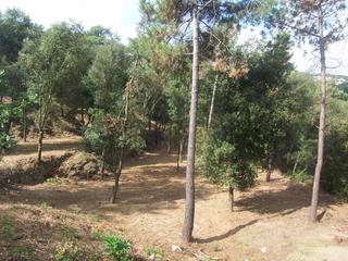 Residential Plot in Sant Fost de Campsentelles