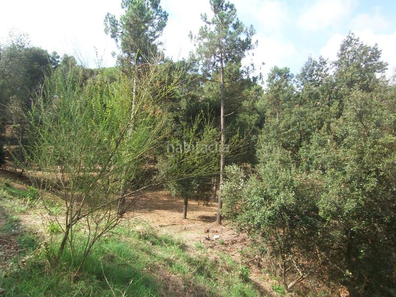 Foto 84e7ac31-a351-4cfa-bddd-c9c11ae6b607. Residential plot in Sant Fost de Campsentelles