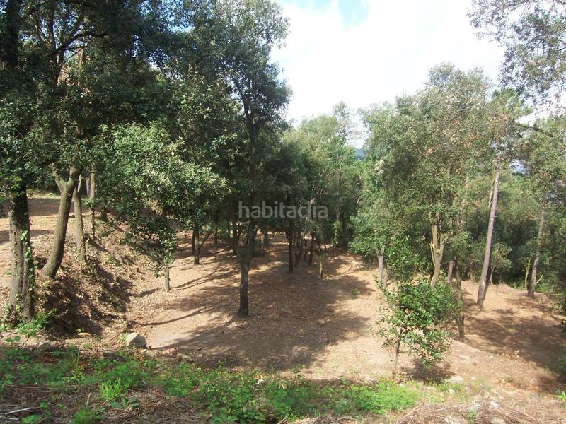 Foto b240cdbf-b287-438a-8b82-f692f2f6483e. Residential plot in Sant Fost de Campsentelles