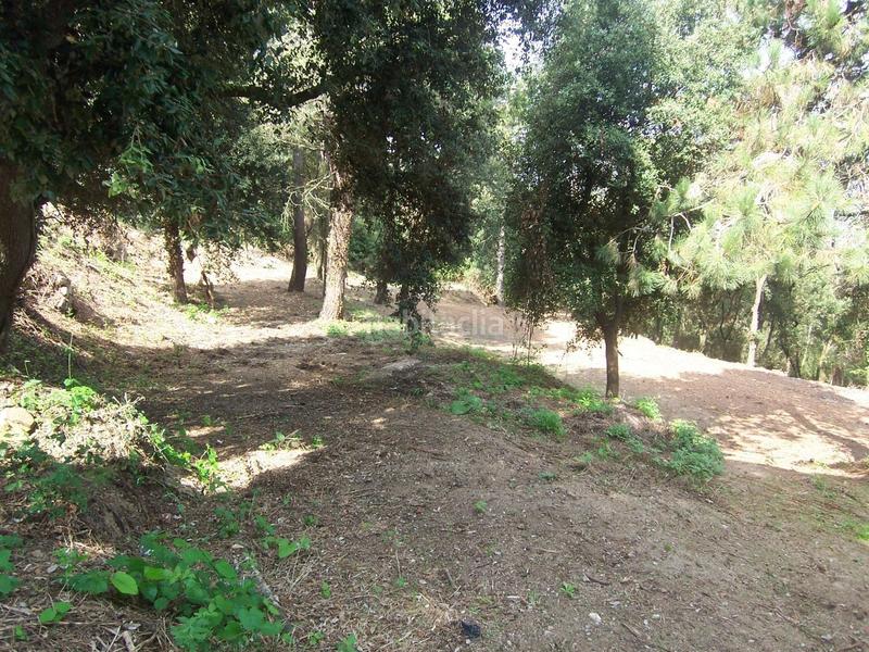 Foto 1e6cface-7d1a-438c-8ecb-b1d4da3b5277. Terreno residenziale in Sant Fost de Campsentelles