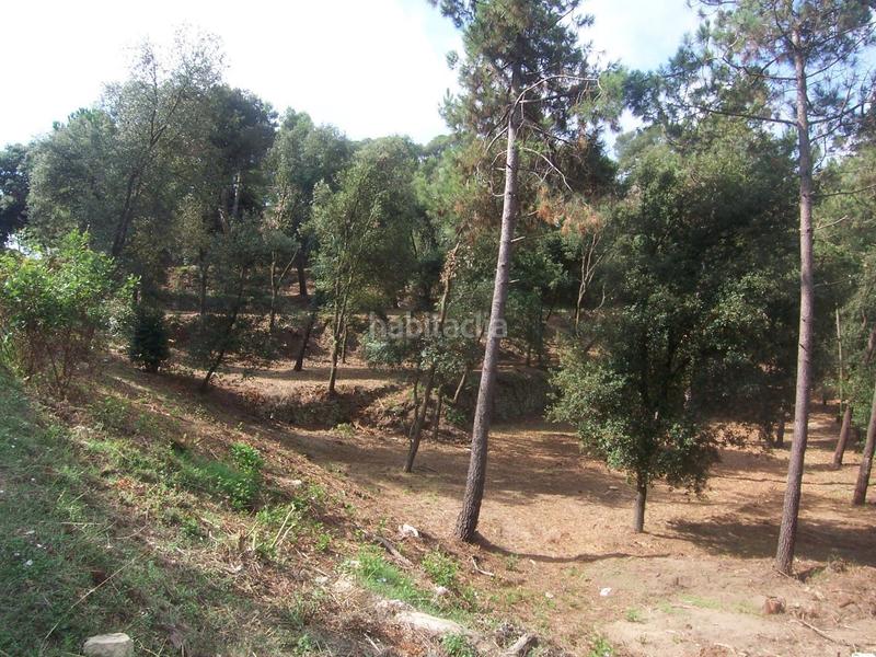 Foto d2f2b38b-b825-4d21-8d37-3bfb2f5e16c9. Terreno residenziale in Sant Fost de Campsentelles