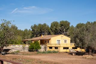 Masia a La Conarda-Montesano. Finca a la venta en betera, chalet, hípica y restaurante