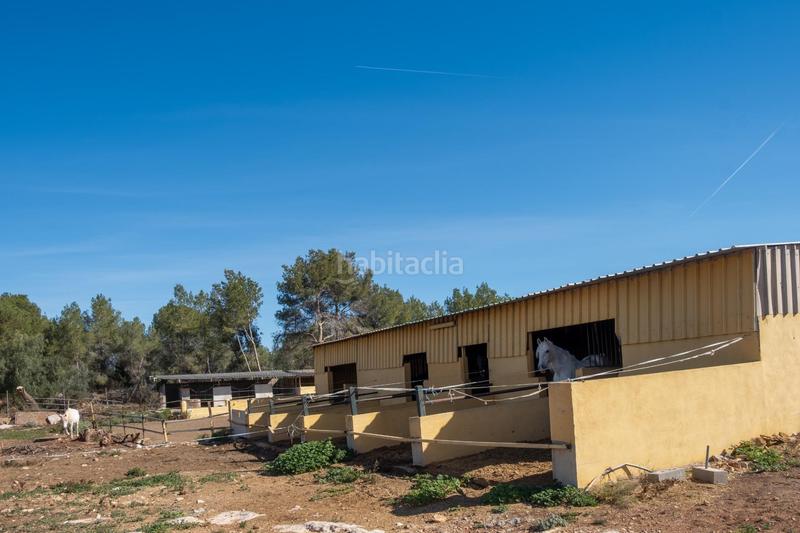 Foto ce93be07-42a8-4ad1-b29c-8283181253b3. Casale con parcheggio piscina in La Conarda-Montesano Bétera