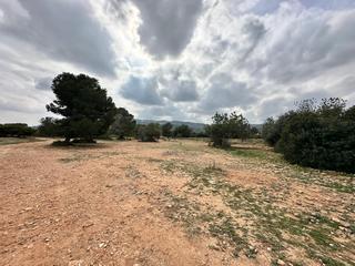 Finca rústica a El Bosque. Se vende terreno rústico en chiva
