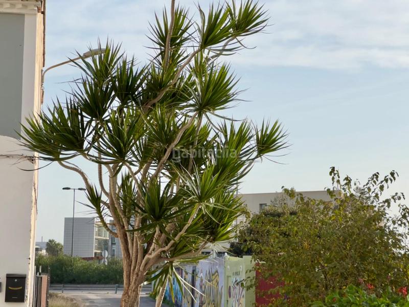 Foto 1093dd62-02e6-4d99-96dc-f7f93435dd1a. Planta baja impresionante oportunidad! en Camí de Vera Valencia