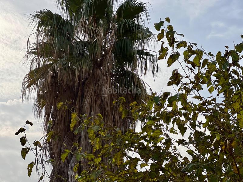 Foto b514ccc3-b944-4cf9-b6ef-d0ac572ee03e. Planta baja impresionante oportunidad! en Camí de Vera Valencia