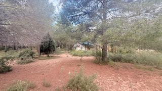 Terreno residencial en Albalat dels Tarongers. Parcela urbana de 1808 m en albalat dels tarongers!