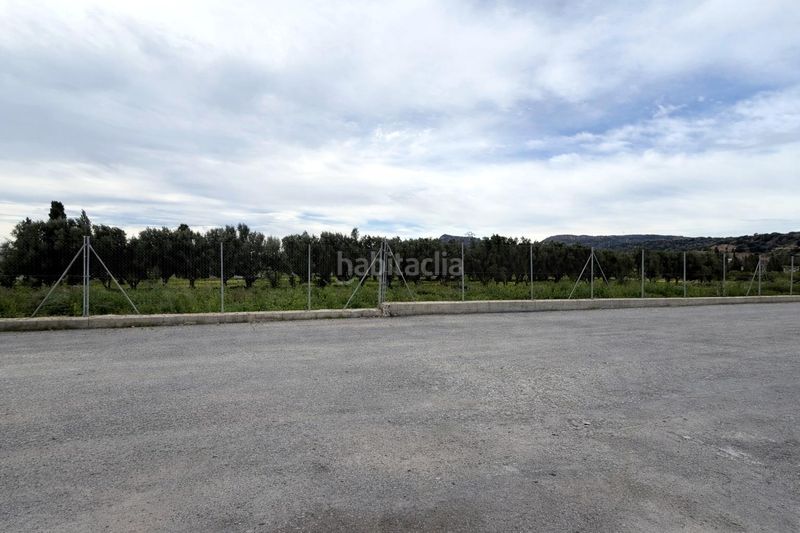 Foto 5bc9288f-ed19-4ae0-895e-18cd45e4940a. Nau industrial a Nuevo Centro Sagunt