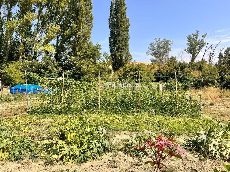 Foto c60890b5-6315-4ba9-81d0-e52d3e8f8e44. Finca rústica en Urroz-Villa