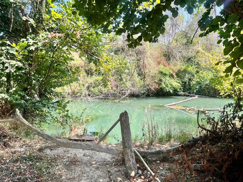 Foto 0a21614c-fc84-4082-90c3-f1f5b0b72359. Finca rústica en Urroz-Villa