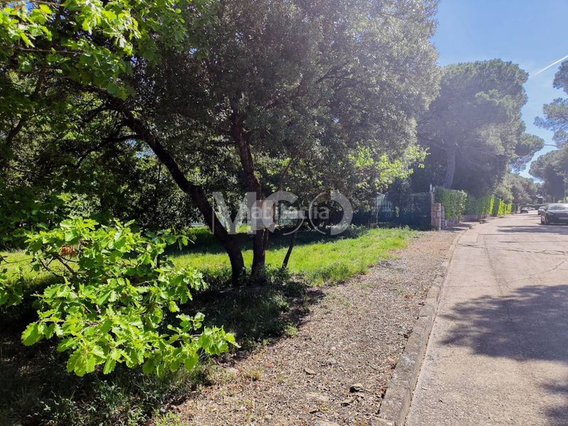 Foto 9ec83297-8578-4172-a0b0-083aeef20cd1. Finca rústica a calle del pirineu 14 a Seva