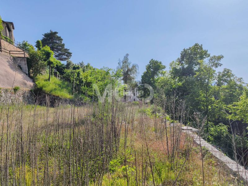Foto 30a94c22-8763-4087-8dd1-04e6fae00df1. Terreny residencial a Viladrau