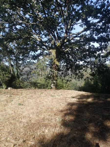 Foto 6d09994d-8db2-4006-a57e-dcdae5db0021. Wohngrundstück in Ponteareas