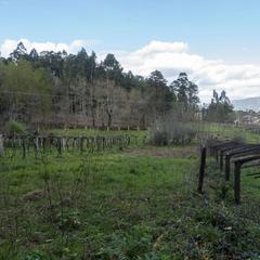Terreny residencial a Porriño (O). Solar en venta en torneiros  mosende.