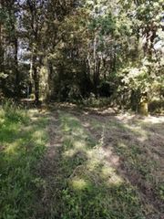 Terreno residencial en Porri�o (O). Solar en venta en torneiros  mosende.