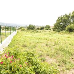 Terreny residencial a Tui. Solar en venta en randufe.