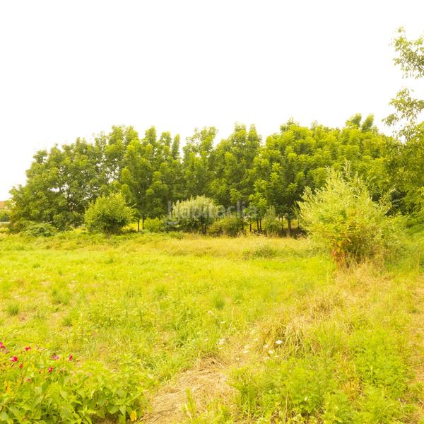 Foto 728d56aa-637e-41ff-a3b7-58190c1583af. Wohngrundstück in Tui