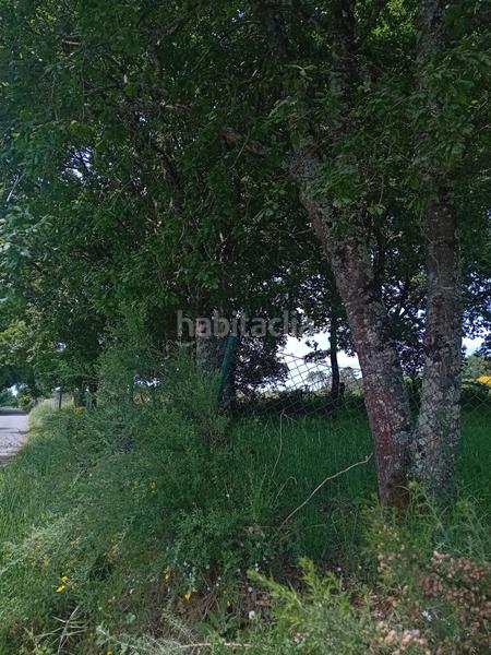 Foto 1dda99dd-b59c-4aa0-bd49-e94698404b71. Terreny residencial a Peroxa (A)