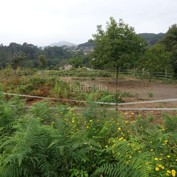 Foto 41ed3868-0470-4542-89ed-f2ce6fefa758. Masía finca rúst. en venta en morgadanes. en Gondomar