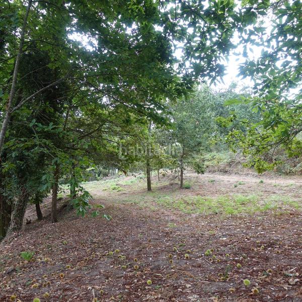 Foto 627cca2e-3766-4a56-bb85-366f911b8698. Masía finca rúst. en venta en morgadanes. en Gondomar