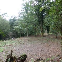 Casale en Gondomar. Finca rst. en venta en morgadanes.