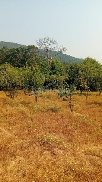 Foto 1a7c1ed0-5072-450b-a778-3b656b812600. Terreno residenziale in Porriño (O)