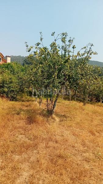 Foto 52c8f329-2805-4f76-8c92-f85435f44111. Terreno residenziale in Porriño (O)
