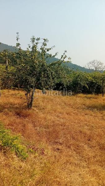 Foto 643d5d68-c46e-4255-b57b-4a2e1d8bd8e9. Terreno residenziale in Porriño (O)