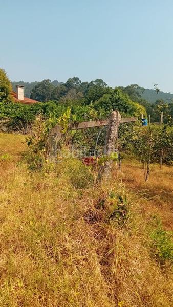 Foto 6c7f9b9c-0d19-4277-8506-5b7dc2111184. Terreno residenziale in Porriño (O)