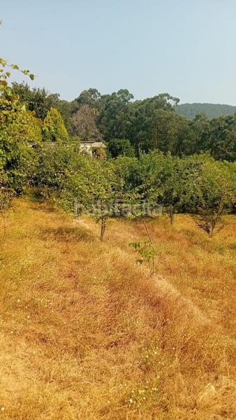 Foto cd258f21-ee99-4457-ba4b-8829889ce3ec. Terreno residenziale in Porriño (O)