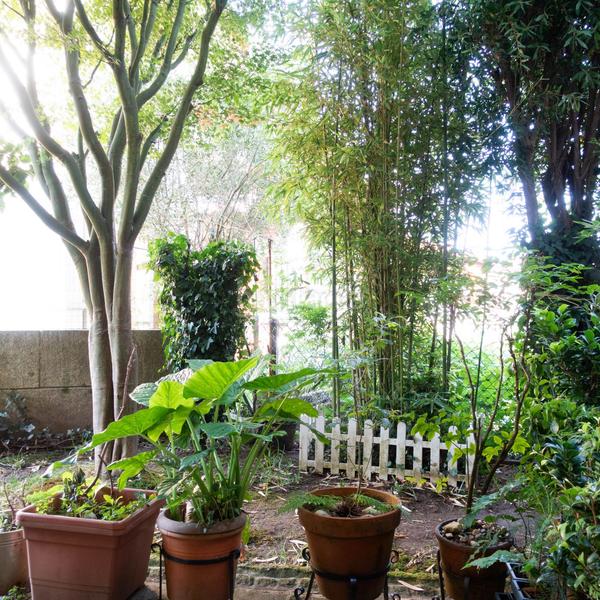 Foto 98d11b82-fa22-48ae-a427-ef8b802176e0. Xalet amb calefacció aparcament a Salceda de Caselas