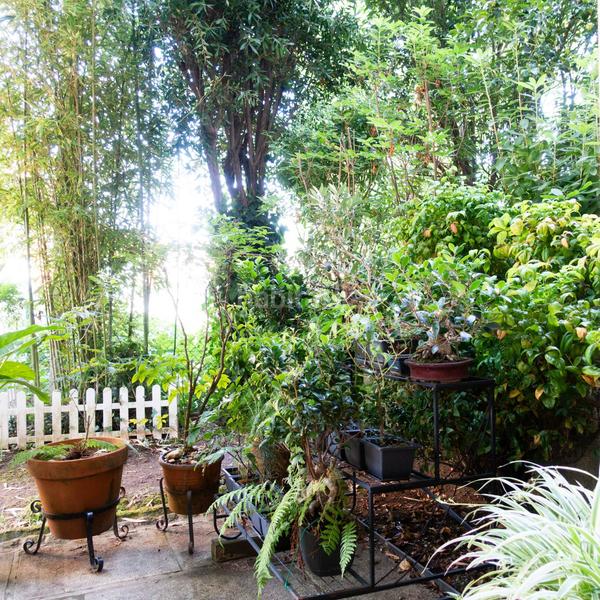 Foto c7fd122c-6ae7-448f-94ff-53f4a5998002. Xalet amb calefacció aparcament a Salceda de Caselas