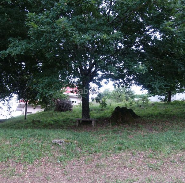 Foto 4ad975fb-a1e9-4b54-89a0-21177747ea25. Terreny residencial a Mos