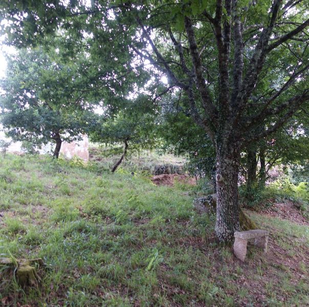 Foto 63f2569f-277c-4c60-b741-33e2d39ff390. Terreny residencial a Mos