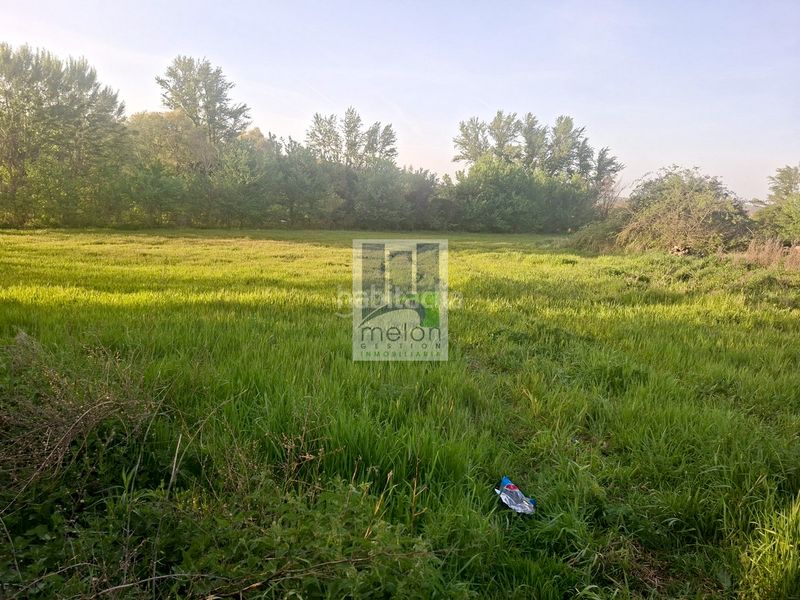 Foto a44e8442-d256-4b97-96ee-151edac5d771. Terreny residencial a Arcos