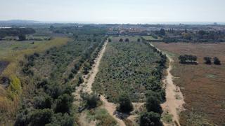 Finca rústica a Vial camino 9999. ¡atención inversionistas!