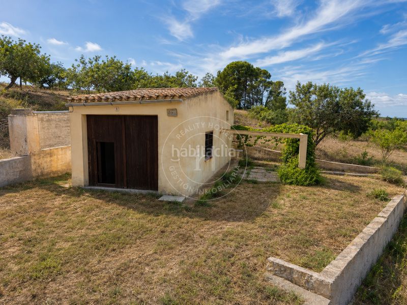 Foto 09fa9e0e-cbea-4710-be53-75904bed1e31. Finca rústica a Secuita (La)