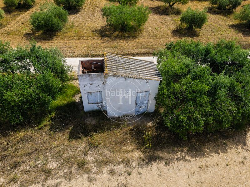 Foto 256a4bec-2135-4084-b1f8-6941fdcb0440. Finca rústica a Garidells (Els)
